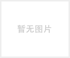 锯末燃料颗粒机，稻壳专用燃料颗粒机